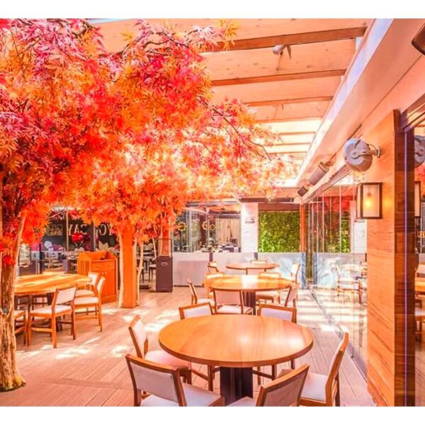 COMMERCIAL PHOTOGRAPHY by EFEIGHT dotcom 001