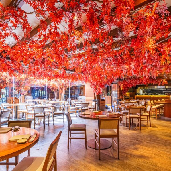 COMMERCIAL PHOTOGRAPHY by EFEIGHT dotcom 002