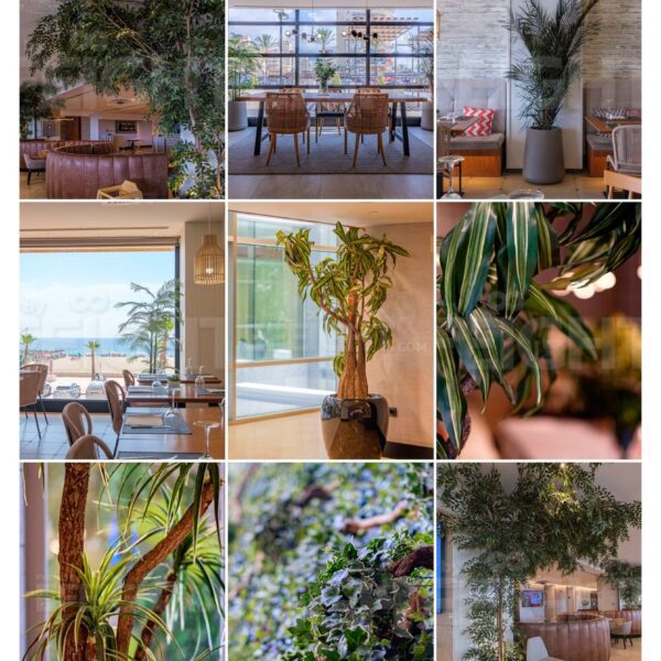 COMMERCIAL PHOTOGRAPHY by EFEIGHT dotcom 011