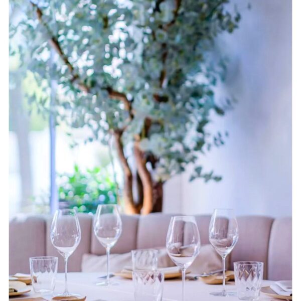 COMMERCIAL PHOTOGRAPHY by EFEIGHT dotcom 014