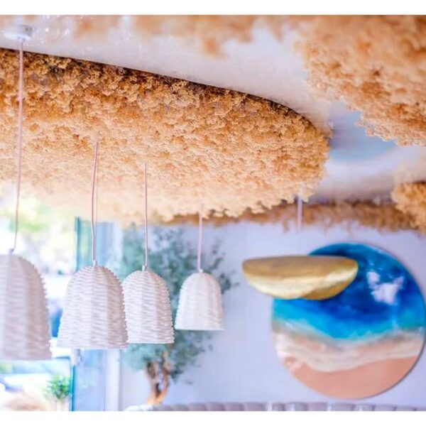 COMMERCIAL PHOTOGRAPHY by EFEIGHT dotcom 017