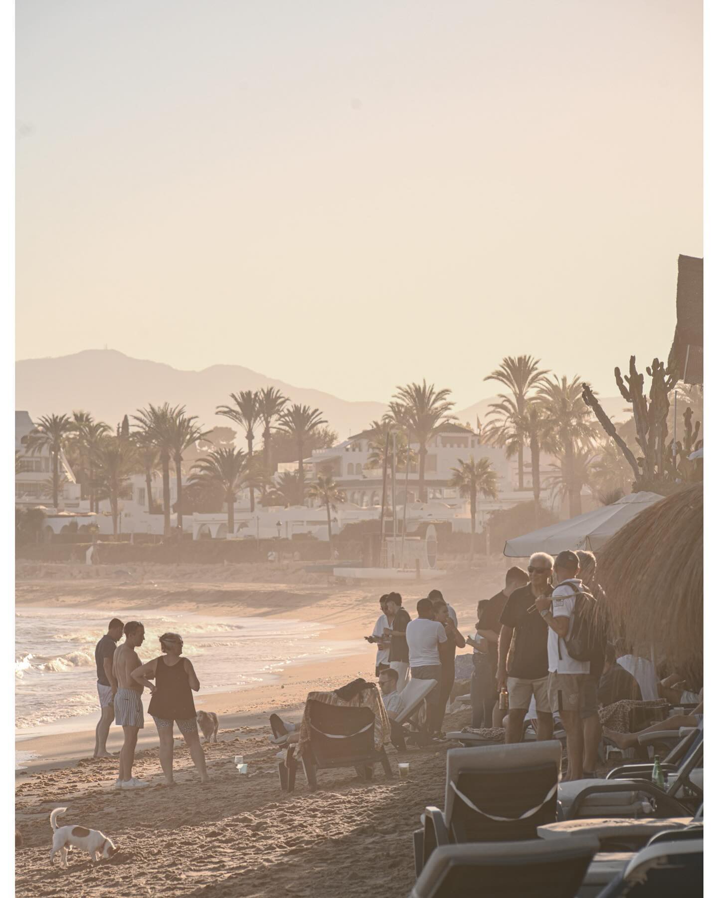 Objetivos vintage en 2025 ¿Tienen todavía uso? 9 452296337 1455705358413126 1608501061887262806 n